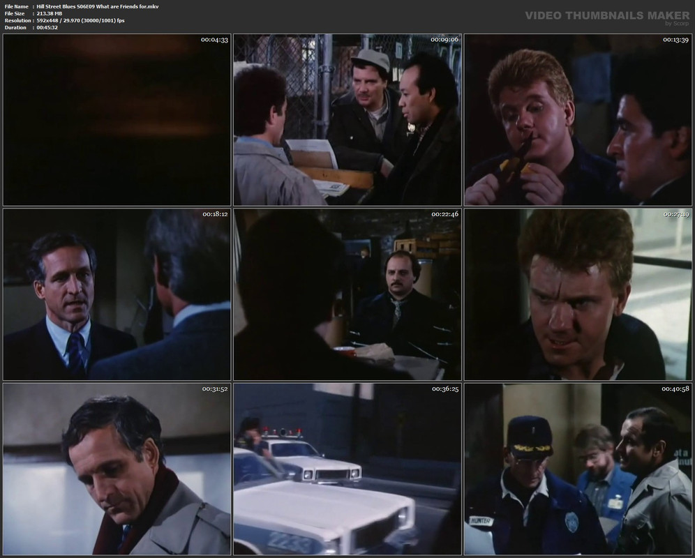 Hill Street Blues S06E09 What are Friends for.mkv