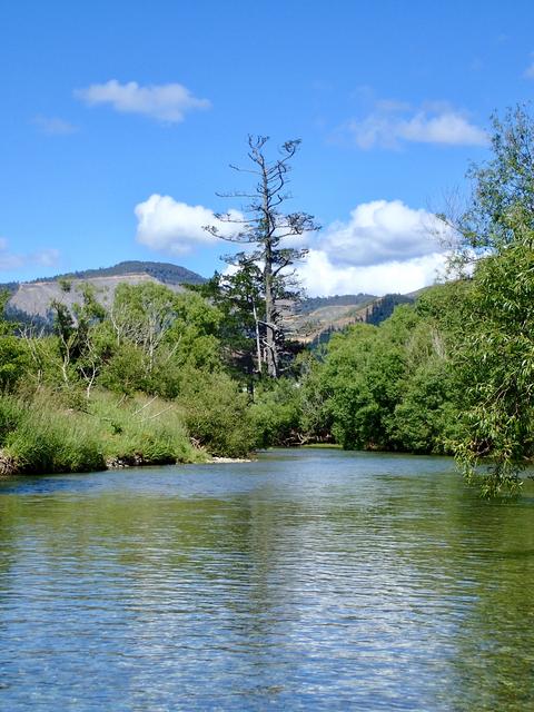 B42F285B-E5F9-442F-9775-1FD4AC5395B0