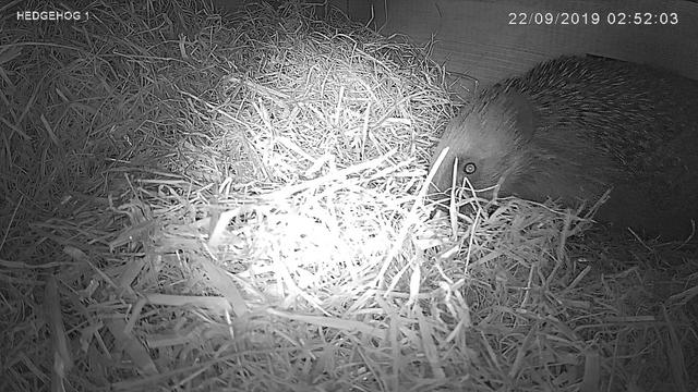 7C72A5DC-43AF-421F-A138-A170A5F06D95