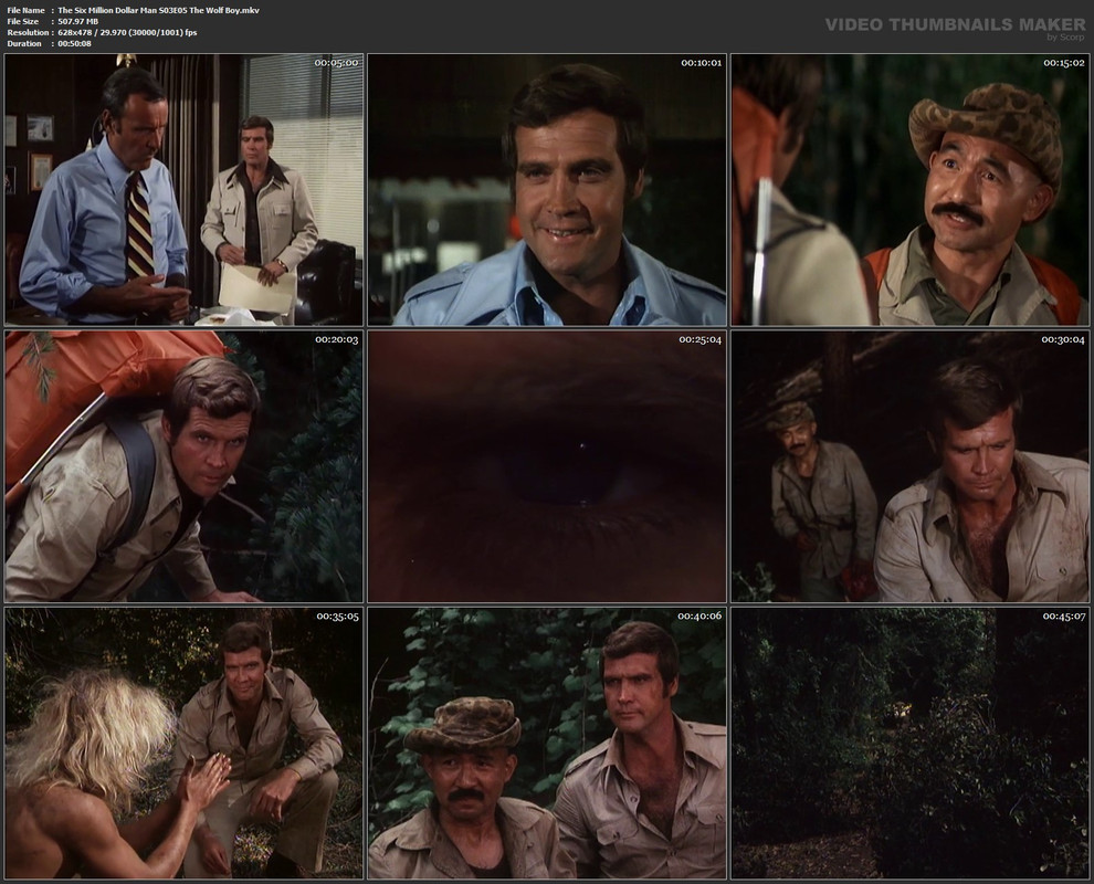 The Six Million Dollar Man S03E05 The Wolf Boy.mkv