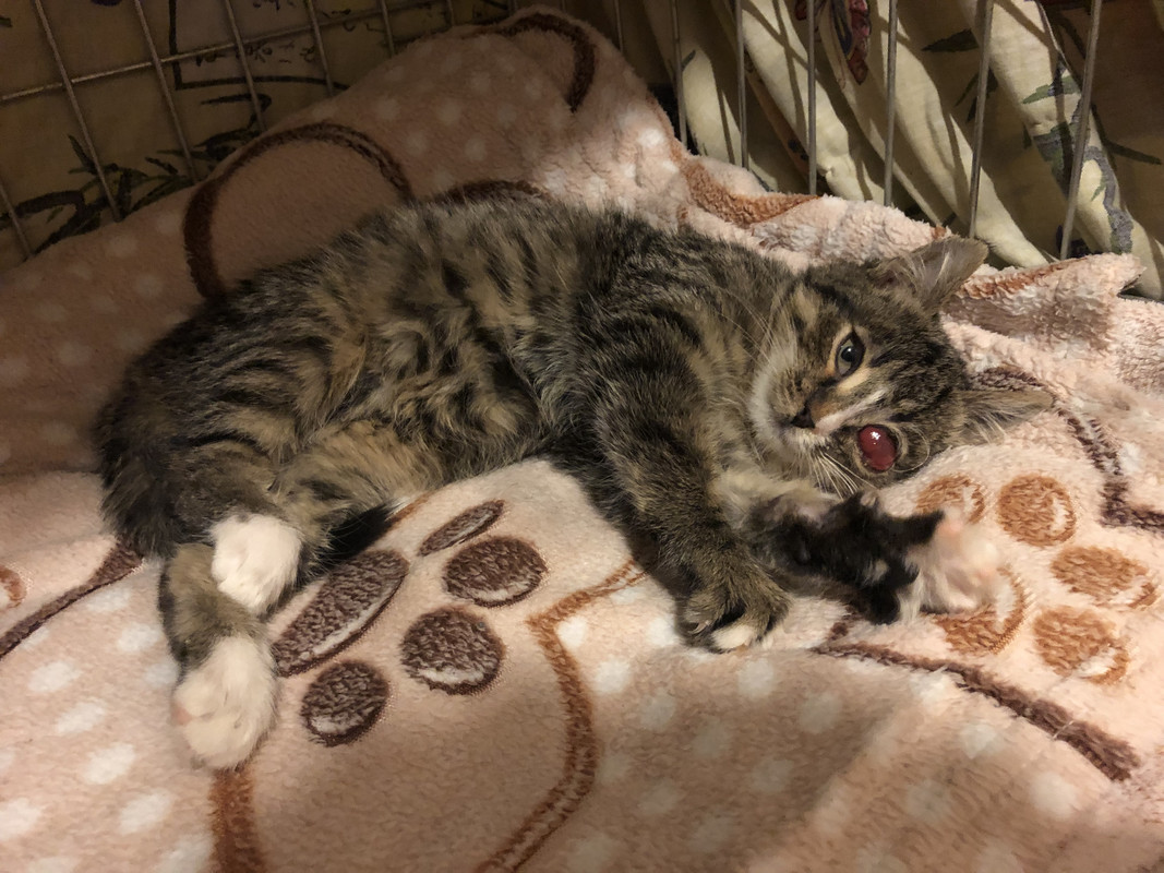 D026E8E4-3C92-426C-935A-12D8D9620FEE