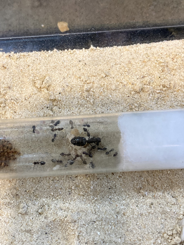 2920D34F-D867-477D-BF84-95C698949636