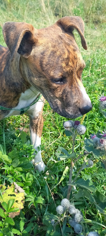 WhatsApp Image 2022-08-05 at 14.24.33 (1)