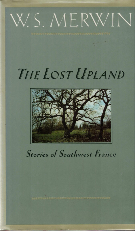 The Lost Upland