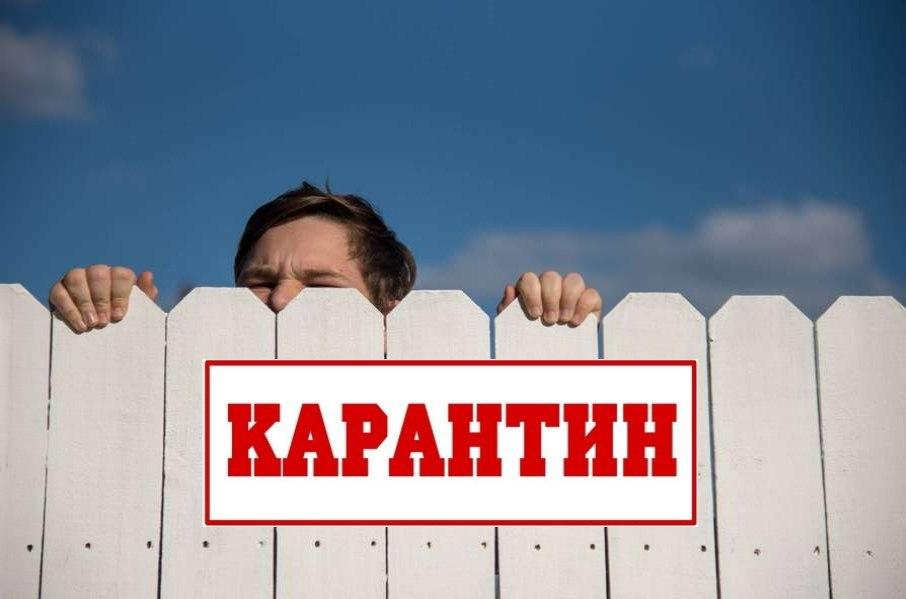 1584803764-photo-2020-03-21-20-02-41