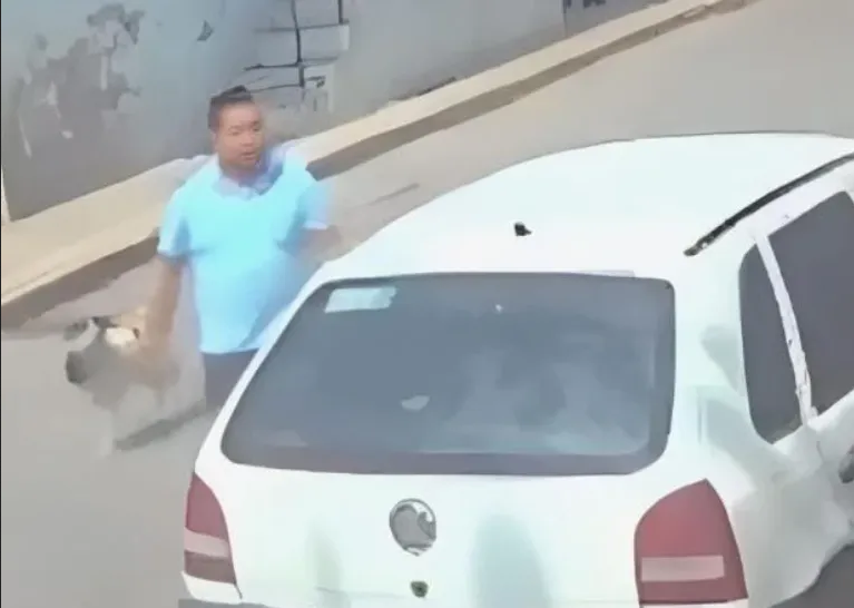 Maltrato animal: identifican al hombre que mató a un perro con aceite hirviendo