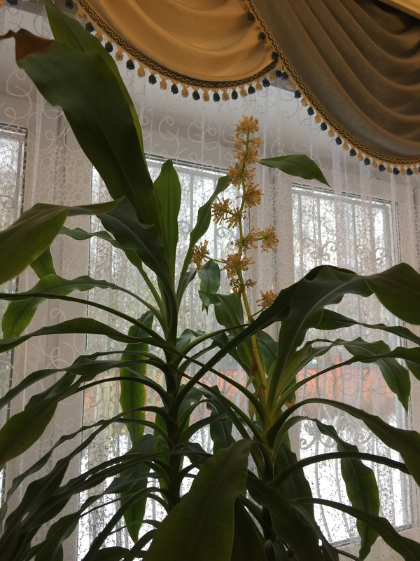 5245774F-4C5D-42F7-9164-23166B3007F1