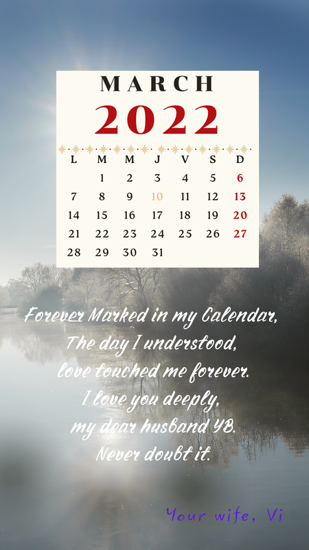 Historia de Instagram Calendario Diciembre de Navidad Fotográfico Beige Marrón