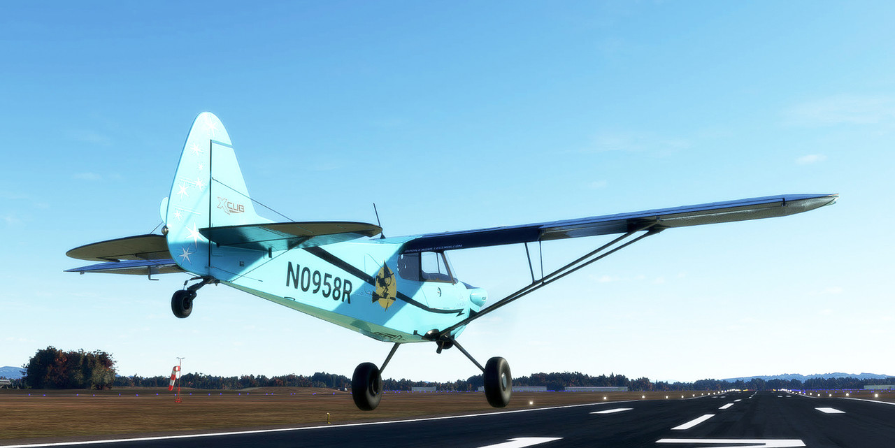 c294.jpg