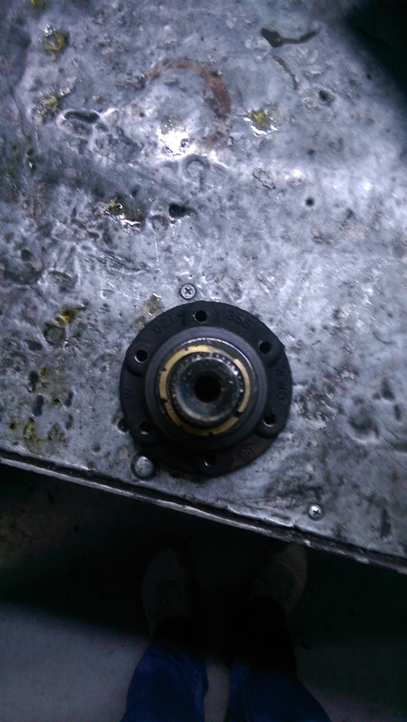 IMAG3082