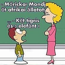 https://i.postimg.cc/Wz1pnQmD/moricka-02.jpg