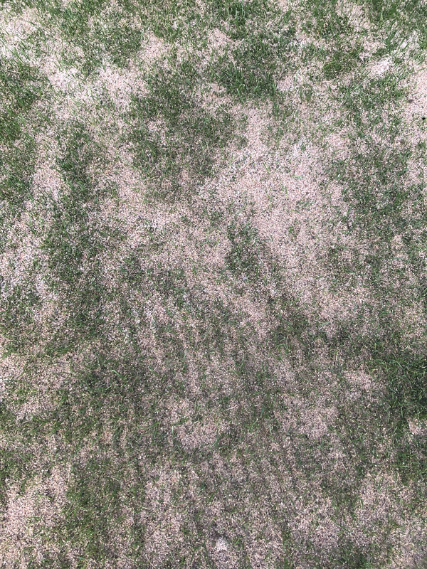 498496DF-DE68-4DA1-8E54-4A936A7289CD