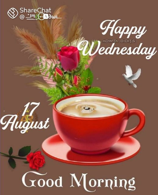 AUGUST-17-TH