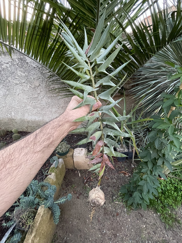 32B578C4-63A3-4756-8840-1418C722C6D9