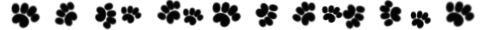 paw-divider.png