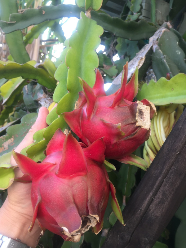 0C6FDE1D-BC94-4B06-8C53-7B880D35A004