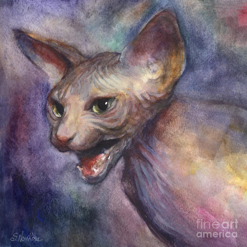 07-sphynx-cat-painting-svetlana-novikova-(2)