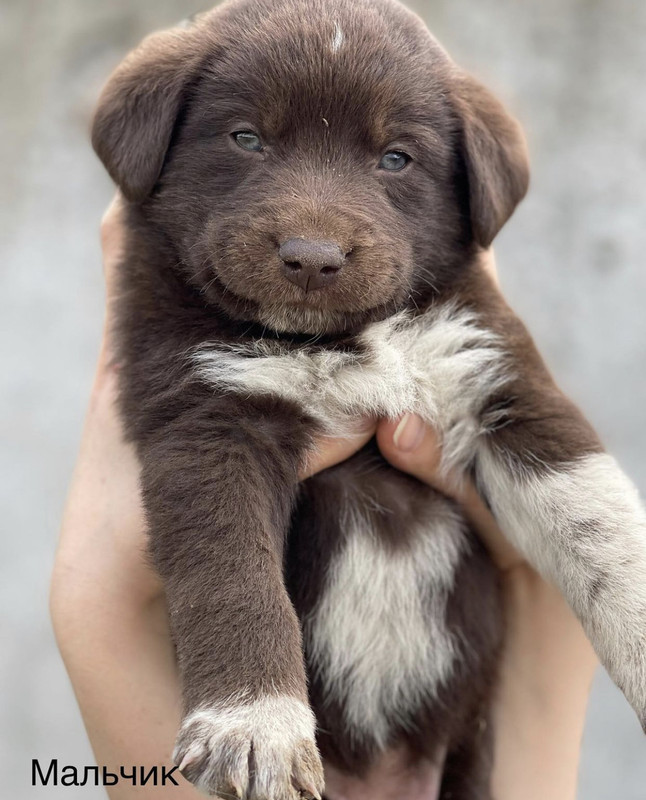 ADEC968B-13C8-461D-9008-89A1ED5D2AB5