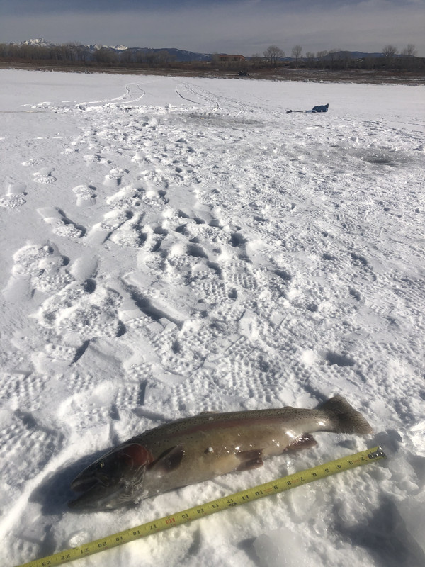 4EA5603D-A9E5-4FAD-A9C2-751B80BAC2CC