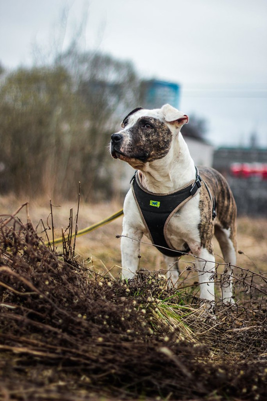 без имени-1024