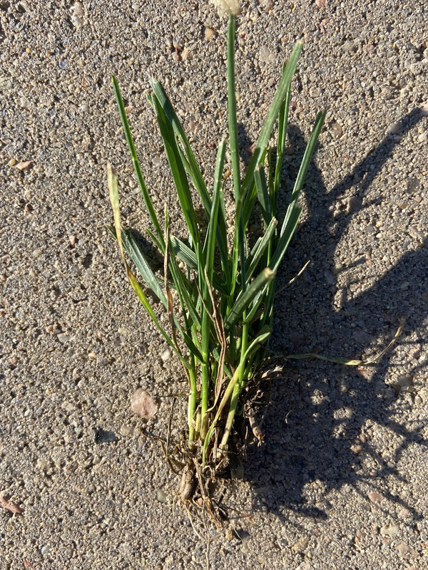 BBE46DEB-D9DD-4CE7-A1B9-98E457849403