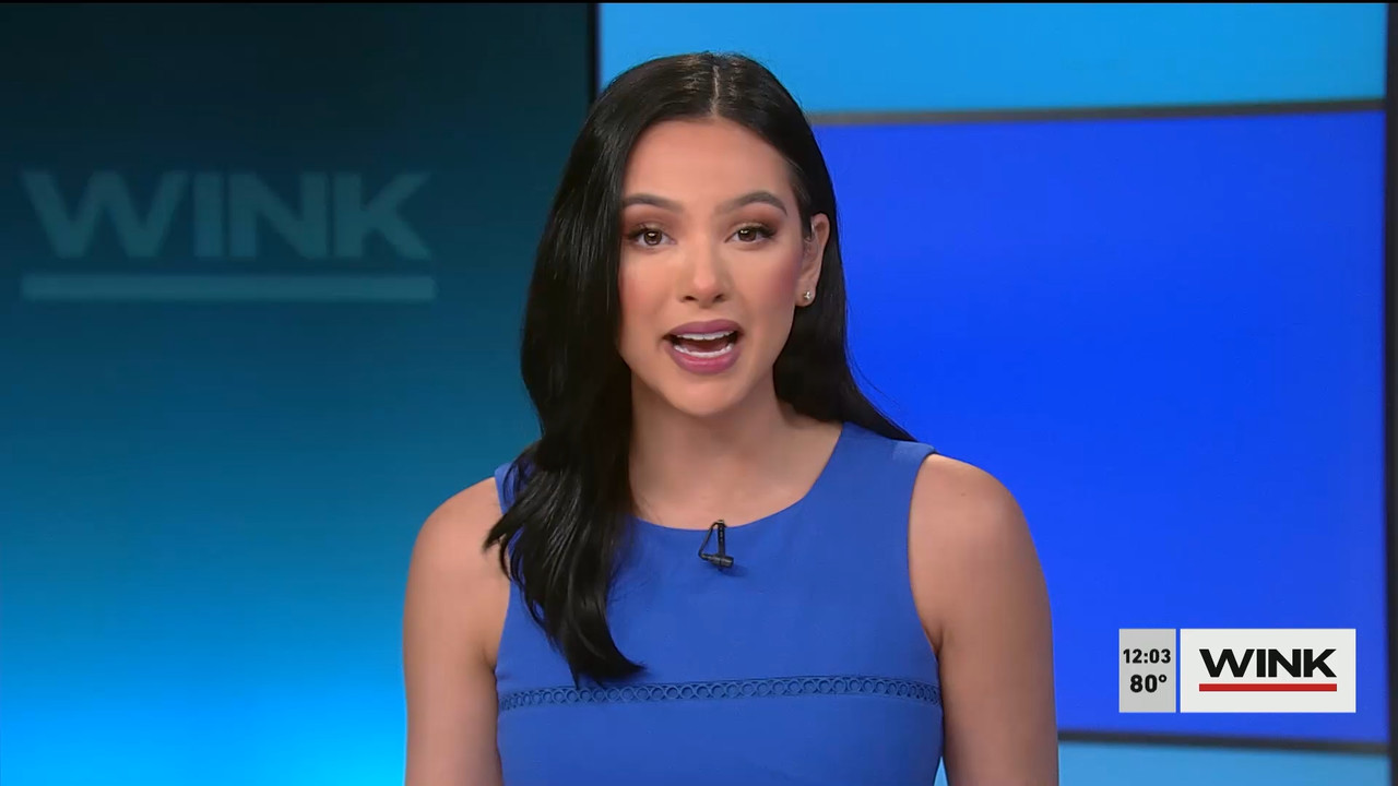 The WINK Noon News 2022_03_15_16_00_00.ts_snapshot_10.06.921
