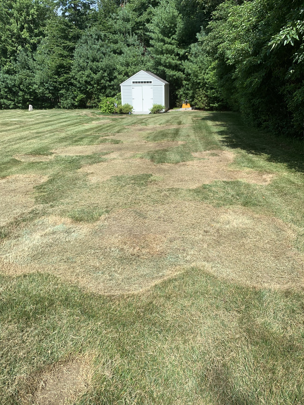 49048A8A-15FD-40B1-B926-DFD903A3D21A