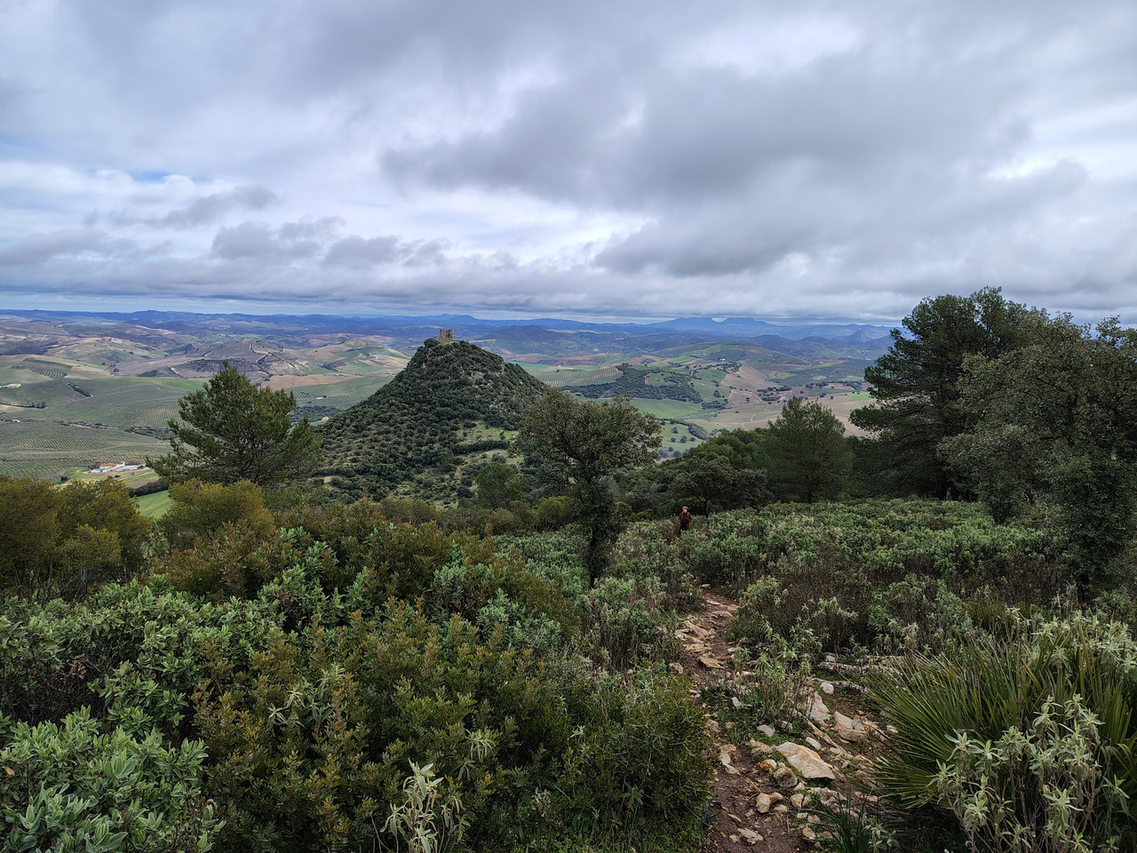IMG 20260124 123513206 HDR