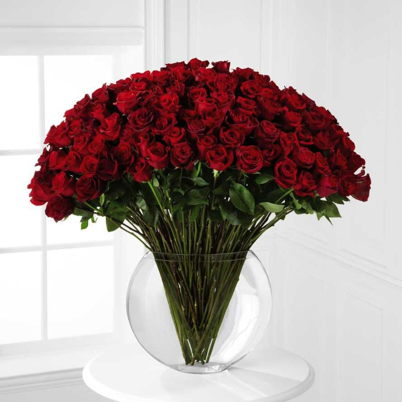 ФОТОГАЛЕ?ЕЯ (230)