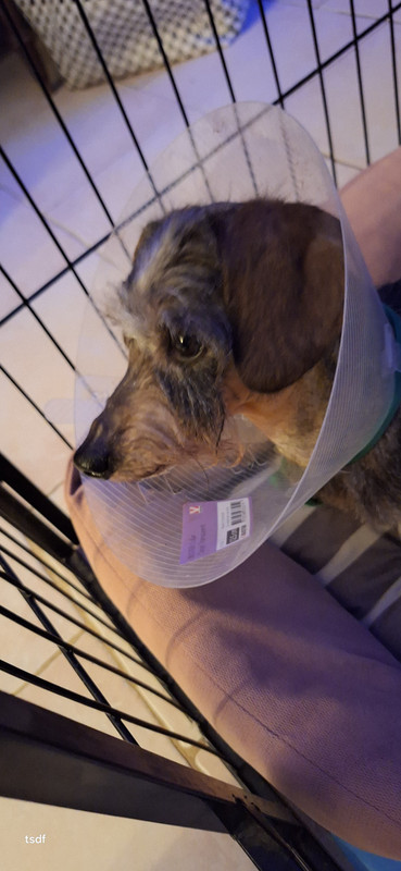 [Image: 20250221-205050.jpg]