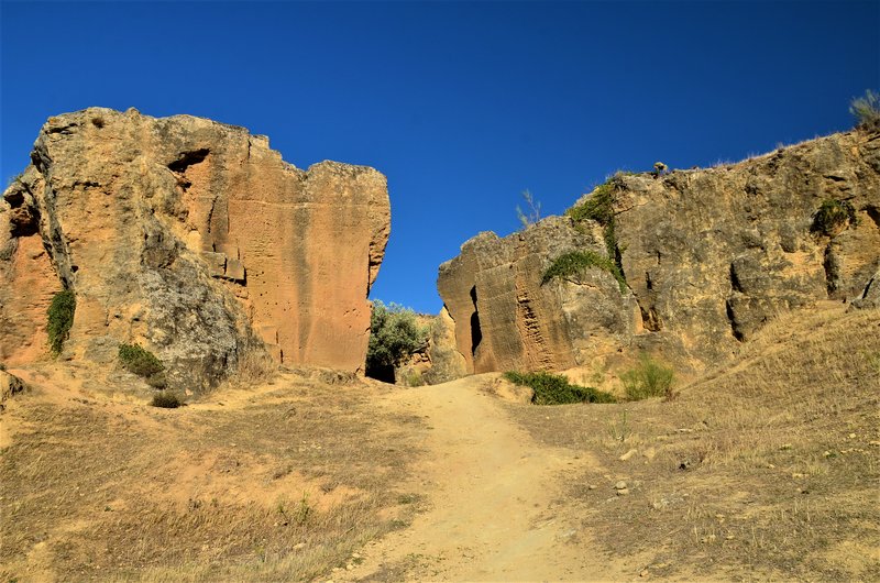 SEVILLA Y SUS PUEBLOS-2012/2021 - Blogs de España - EL COTO LAS CANTERAS-15-10-2021-OSUNA (26)