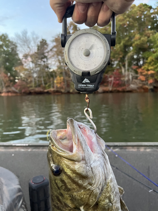 What do you generally find to be the magic number in regards to water