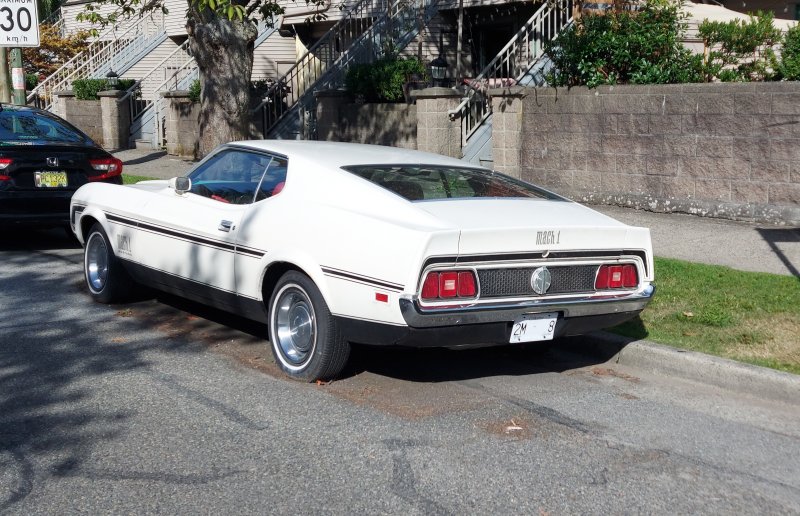 i.postimg.cc/Wz3bqrLD/mustang.jpg