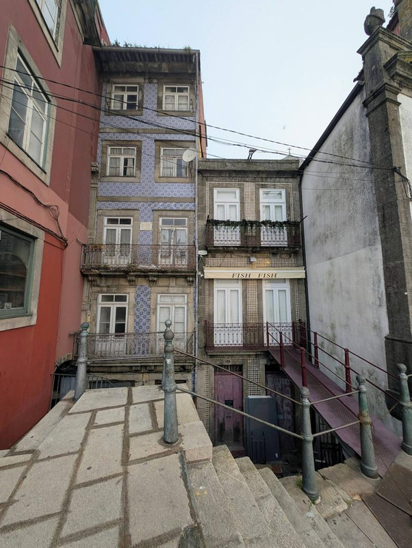 641642290 25574939782205651 7817672104381506657 n