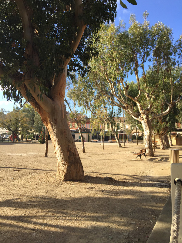 49A8F956-25D1-4D94-812F-4E0A5109A685