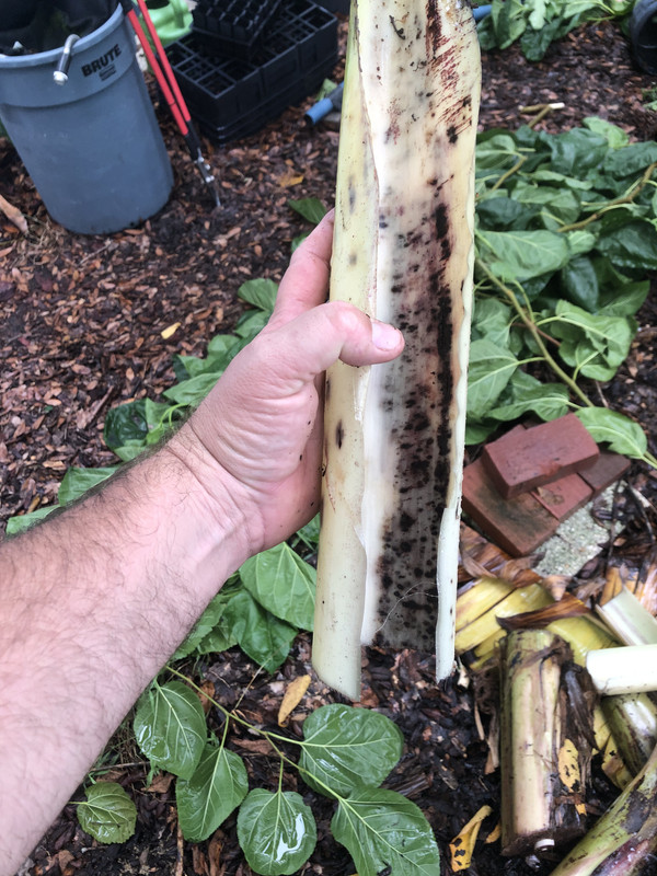 EC47E27F-4325-4B69-BB57-2468E0109AFB