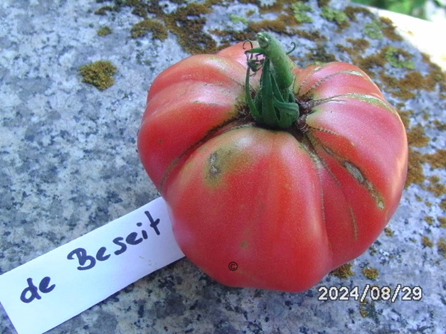 [Bild: BILD0374.jpg]
