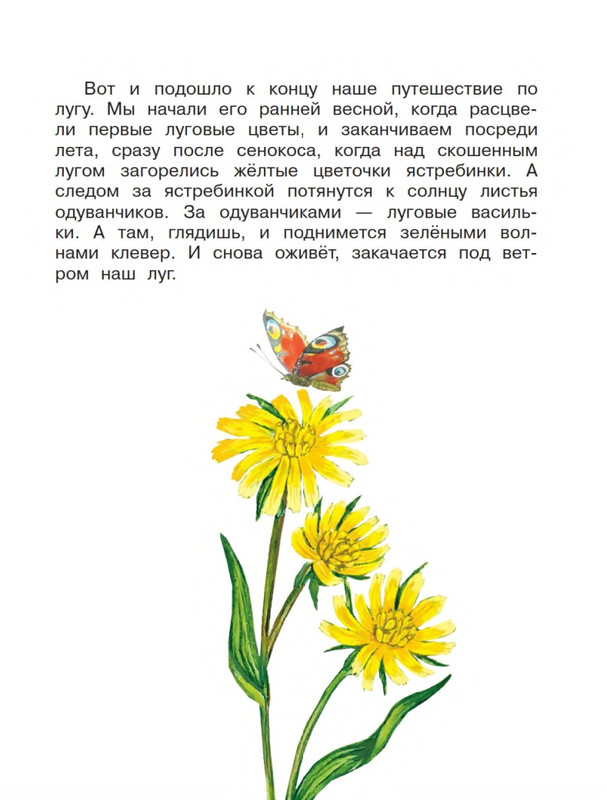 Onegov-Anatolij-Pochemu-kukushka-slozki-lot-page-0048
