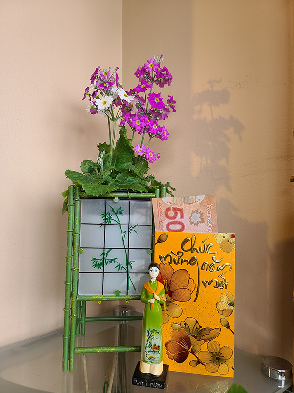 [Image: 20250129-125102.jpg]