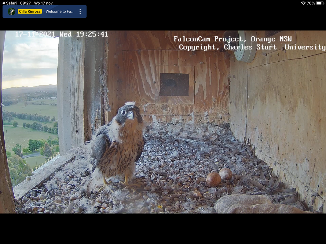 AEF7AACD-FDC7-4C82-A814-1116393D533C