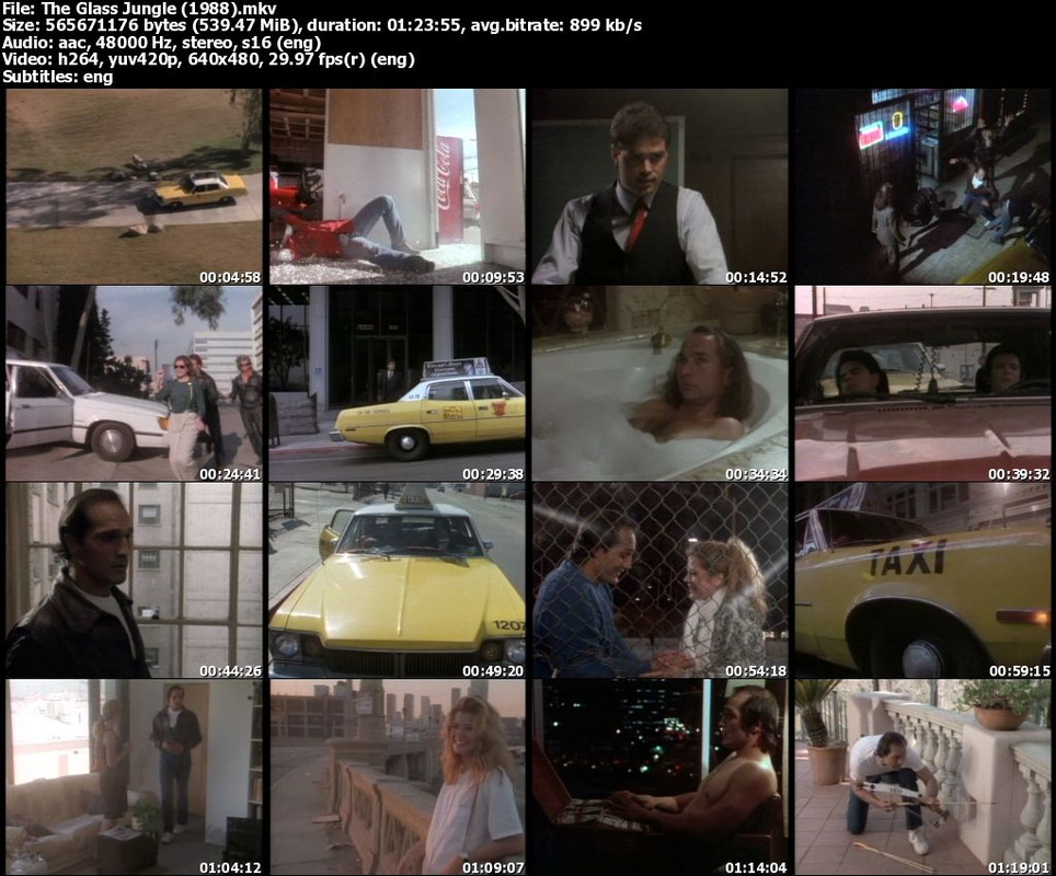 The Glass Jungle (1988)