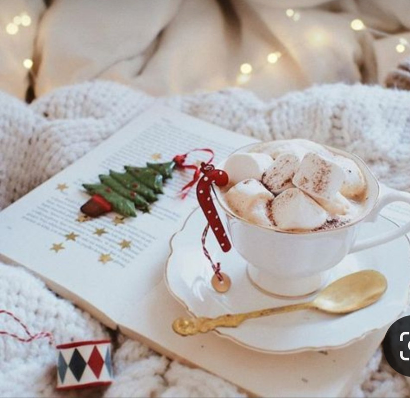 Screenshot_20231120_231844_Pinterest