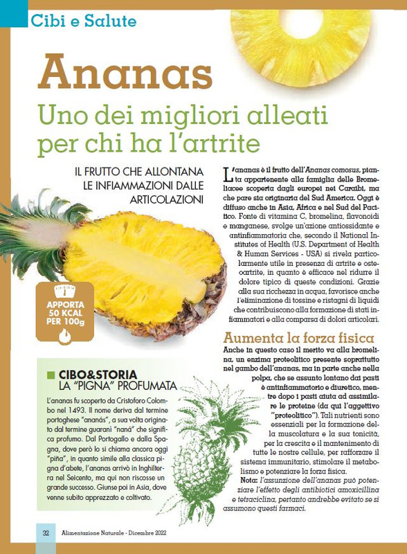 Alim Nat Dic 2022 (5)