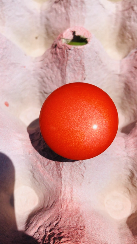 1FF86505-FA56-447D-8EFF-C6980B7C6C30