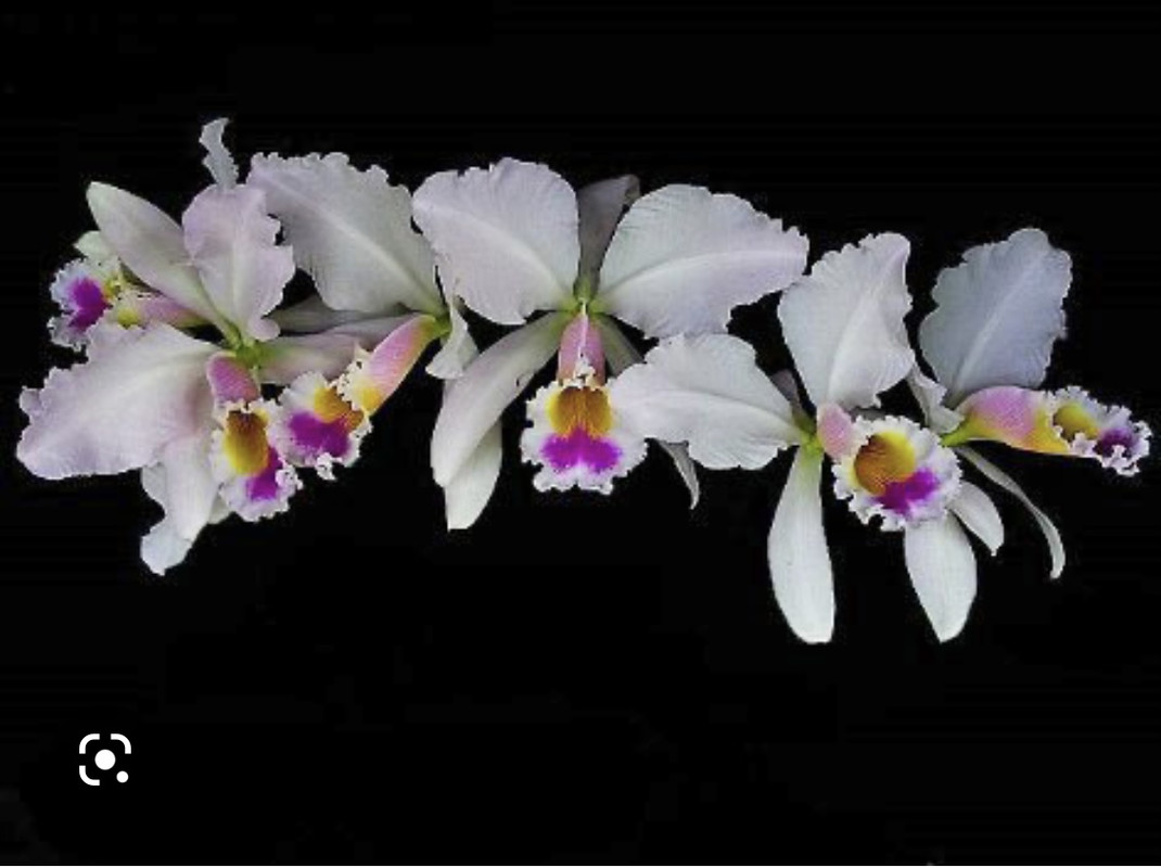 01CF7D53-1F5A-4085-AA85-FF75A86099F3