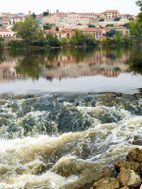 ZAMORA, TORO y "Las Edades del Hombre" - Blogs of Spain - Sábado en Zamora (35)