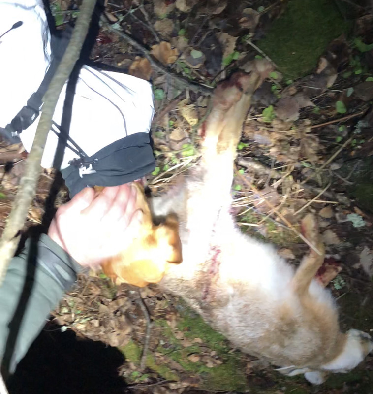 285FCB7E-AC62-438C-9A99-B156EE7CAF77