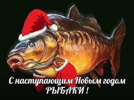 С новым годом рыбаки