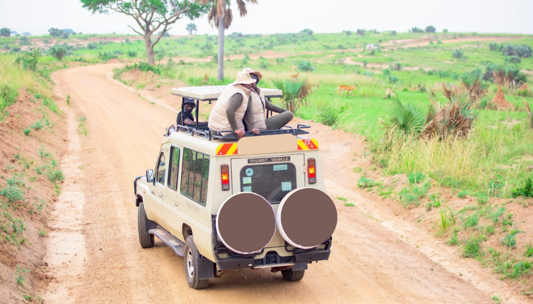 Maasai Mara and Amboseli safari package from Nairobi
