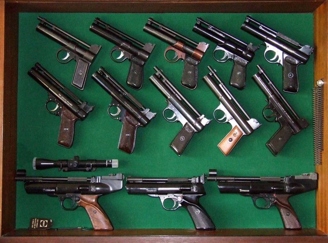 Pistol Display Case